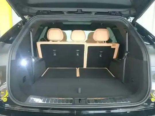 Chery Tiggo 9 2023 (7900 км)