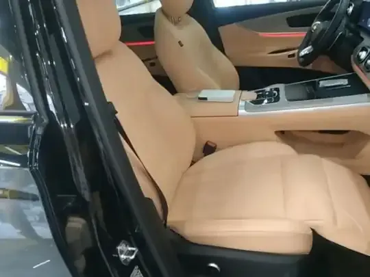 Chery Tiggo 9 2023 (7900 км)