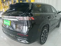 Chery Tiggo 9 2023 (7900 км)