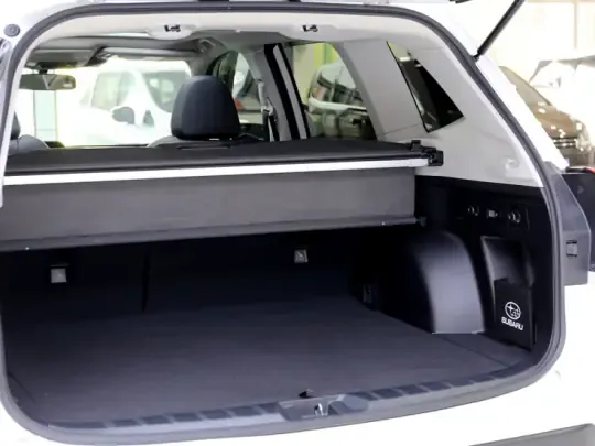 Subaru Forester 2024 (20100 км)