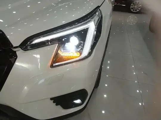Subaru Forester 2024 (20100 км)