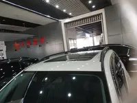 Subaru Forester 2024 (20100 км)