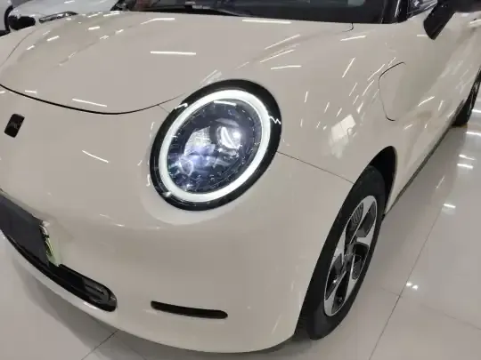 JAC Yiwei 3 2023 (33100 км)