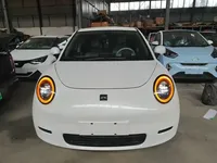 JAC Yiwei 3 2023 (22800 км)