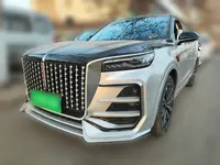 Hongqi HS5 2023 (53300 км)