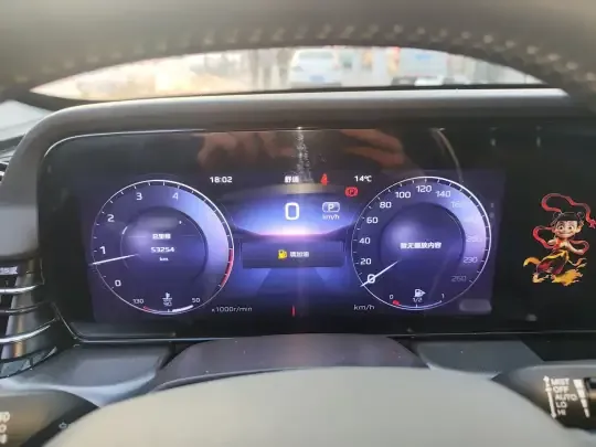 Hongqi HS5 2023 (53300 км)
