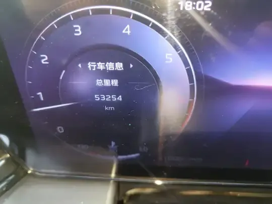 Hongqi HS5 2023 (53300 км)