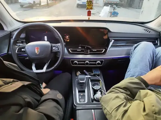 Hongqi HS5 2023 (53300 км)