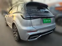 Hongqi HS5 2023 (53300 км)