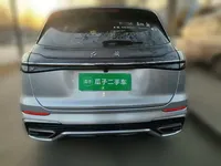 Hongqi HS5 2023 (53300 км)
