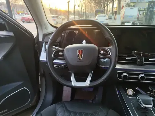 Hongqi HS5 2023 (53300 км)