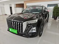 Hongqi HS5 2023 (12100 км)