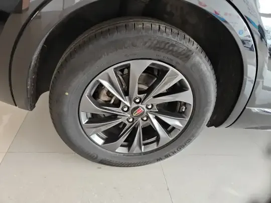 Hongqi HS5 2023 (12100 км)