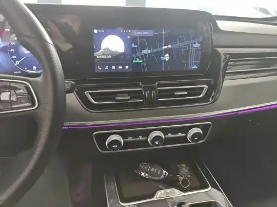 Hongqi HS5 2023 (12100 км)