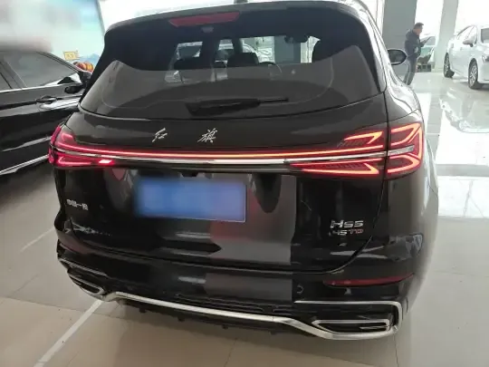 Hongqi HS5 2023 (12100 км)