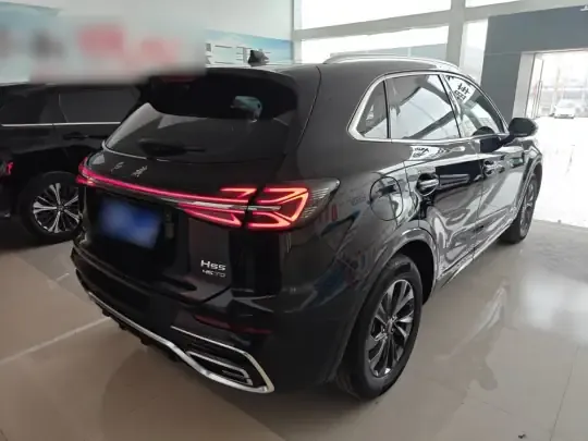 Hongqi HS5 2023 (12100 км)