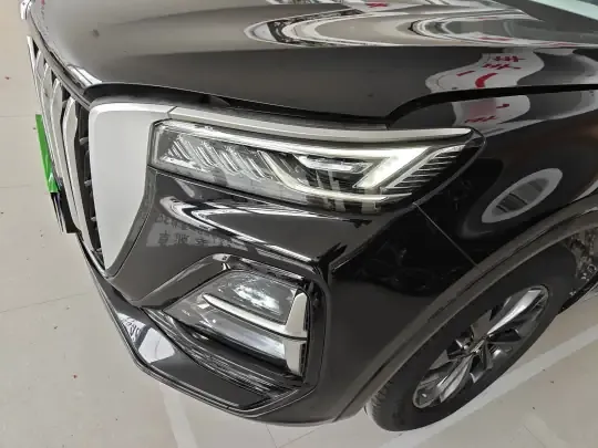 Hongqi HS5 2023 (12100 км)