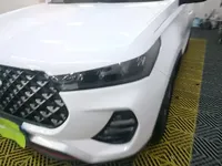 Chery Tiggo 7 2023 (13100 км)