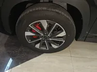 EXEED Zhuifeng 2024 (100 км)