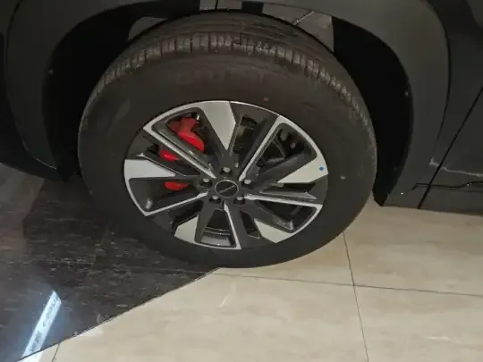 EXEED Zhuifeng 2024 (100 км)