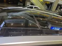 EXEED Zhuifeng 2024 (100 км)
