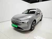 Wey Mocha New Energy 2023 (56200 км)