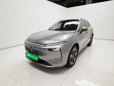 Wey Mocha New Energy 2023 (56200 км)