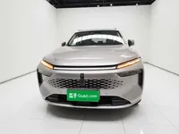 Wey Mocha New Energy 2023 (56200 км)