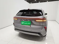 Wey Mocha New Energy 2023 (56200 км)
