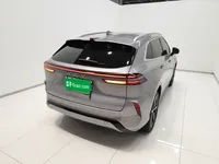 Wey Mocha New Energy 2023 (56200 км)