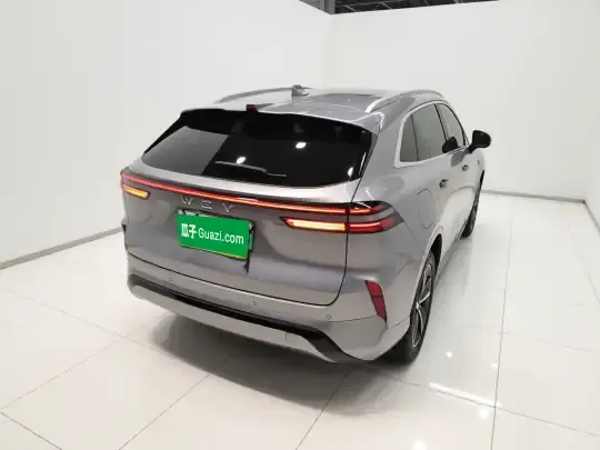 Wey Mocha New Energy 2023 (56200 км)