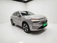 Wey Mocha New Energy 2023 (56200 км)