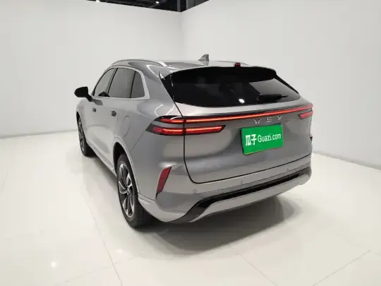 Wey Mocha New Energy 2023 (56200 км)