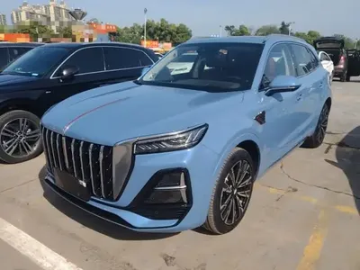 Hongqi HS5 2023 (12100 км)