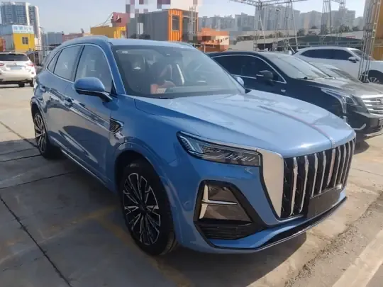 Hongqi HS5 2023 (12100 км)
