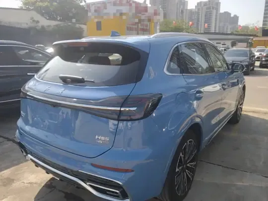Hongqi HS5 2023 (12100 км)