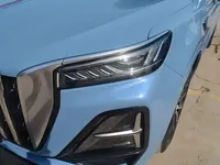 Hongqi HS5 2023 (12100 км)