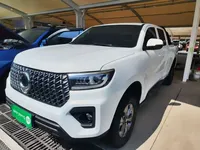 Great Wall Poer 2023 (26500 км)