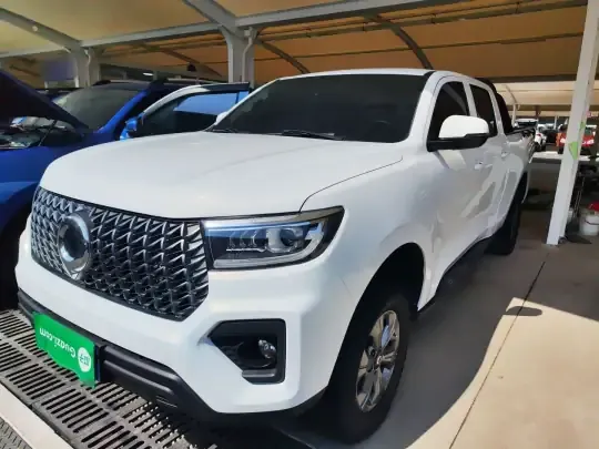 Great Wall Poer 2023 (26500 км)