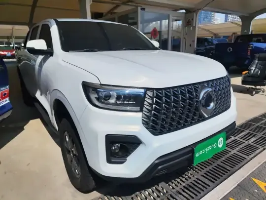 Great Wall Poer 2023 (26500 км)