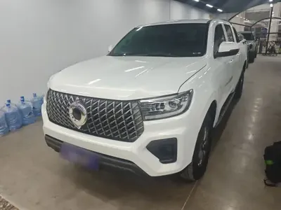 Great Wall Poer 2023 (44800 км)