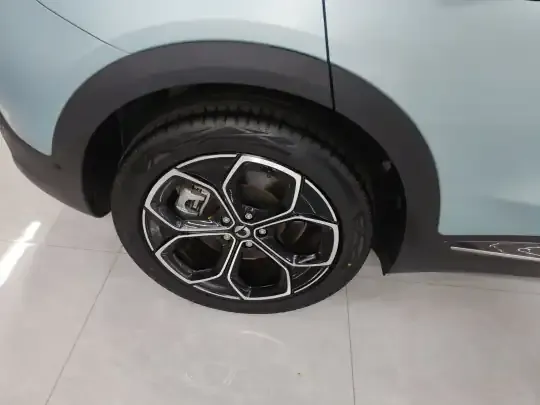 smart #3 2023 (40599 км)