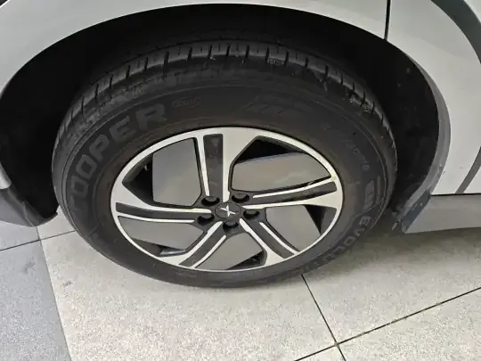 XPeng G6 2023 (6000 км)