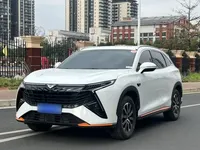 Cowin Kunlun 2023 (13400 км)