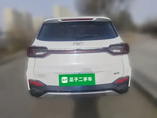 Cowin Xuanjie 2024 (85800 км)