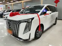 GAC Trumpchi M8 2024 (52100 км)