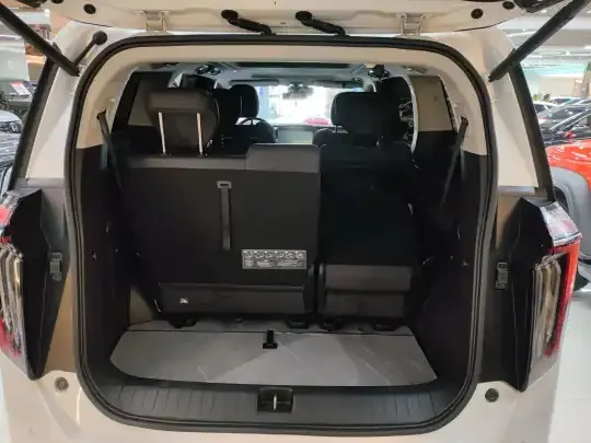 GAC Trumpchi M8 2024 (52100 км)