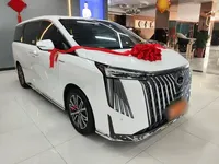 GAC Trumpchi M8 2024 (52100 км)