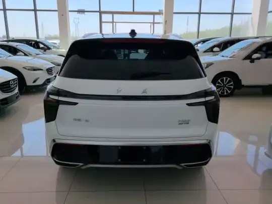 Hongqi HS3 2023 (16000 км)