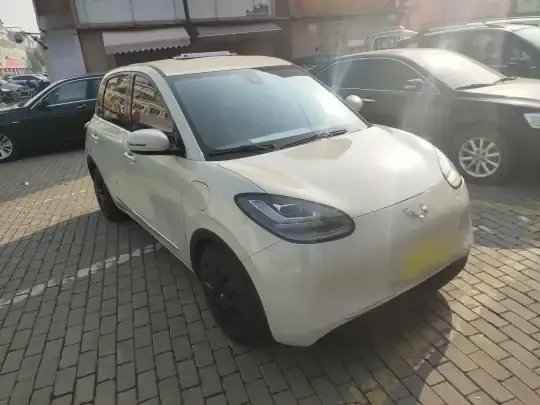 Wuling Bingo 2023 (21900 км)